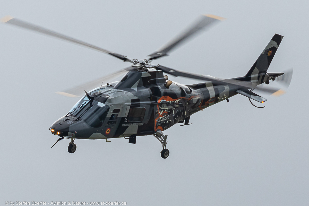 321JH3A8005