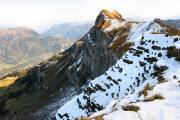 009IMG_0599