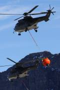160IMG_7534