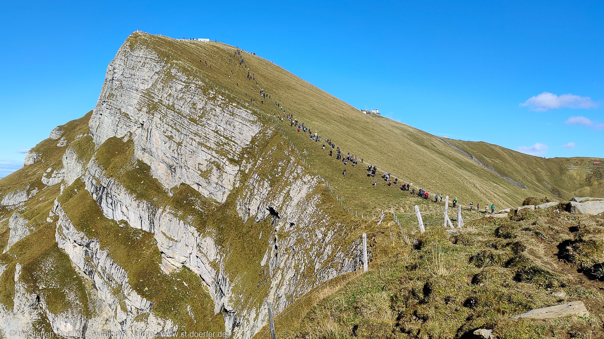 380IMG_20191008_161531