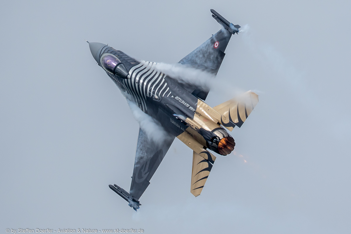 480JH3A8435