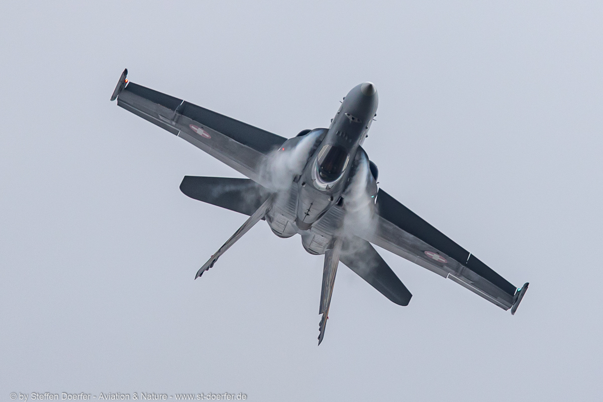 201JH3A5429