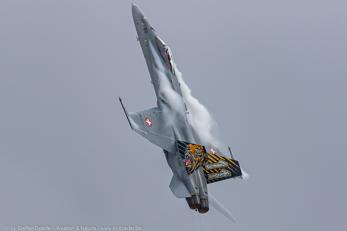 201JH3A5449