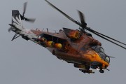 061IMG_7973