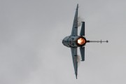 241IMG_7843
