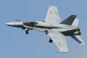 462IMG_6625
