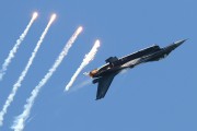 541IMG_9274