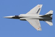 561IMG_6951