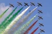 584IMG_8513