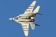 600IMG_7390
