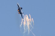600IMG_7399