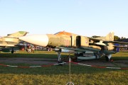 681IMG_7463