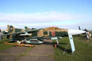 681IMG_7504