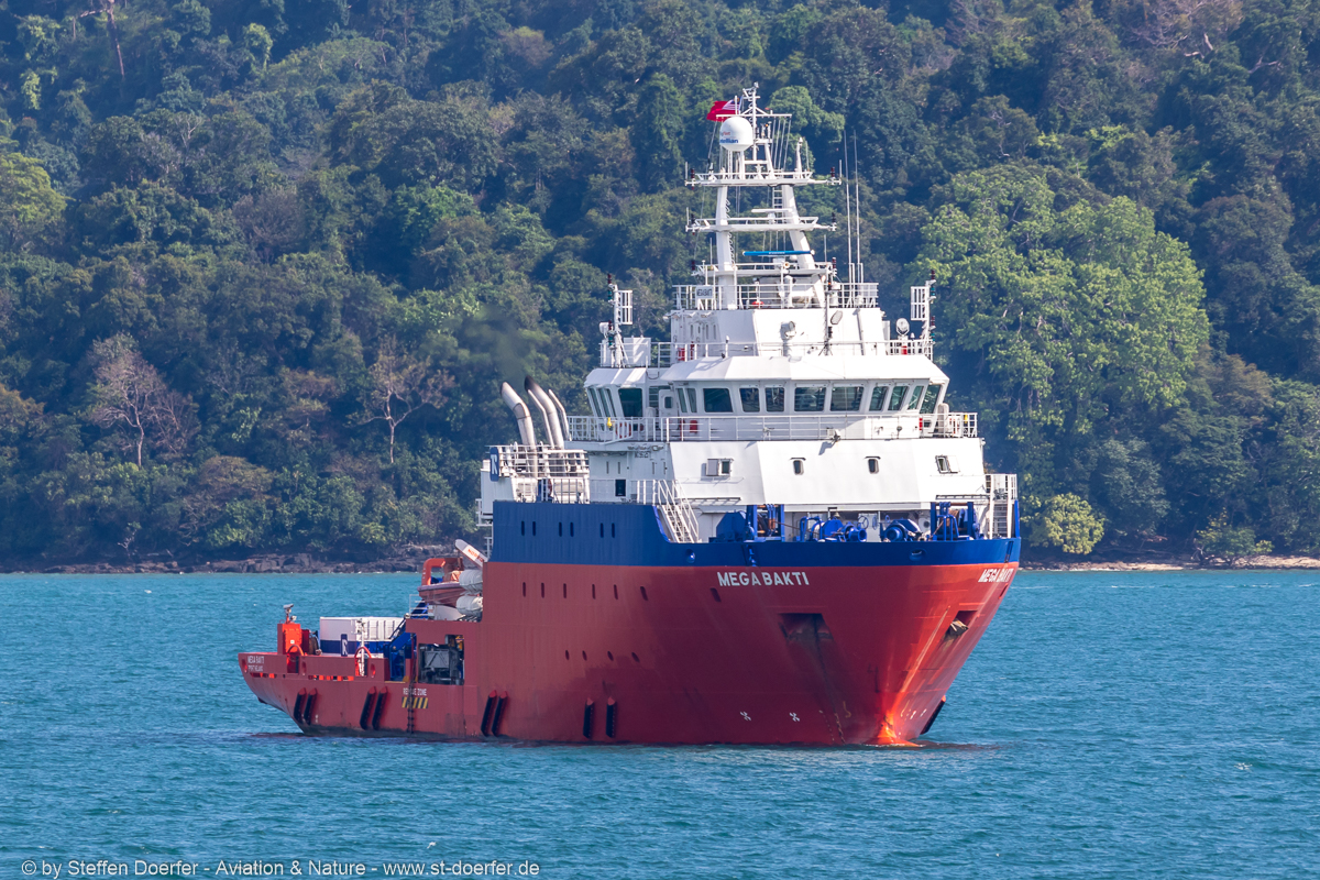 746IW5A7642