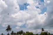 246IMG_3231