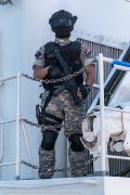 742IMG_1174