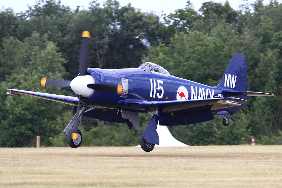 500IMG_6768