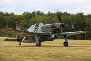 241IMG_3981