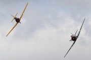 301IMG_6000