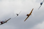 301IMG_6002