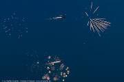 352IW5A9626
