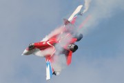 11-07IMG_9838