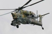 17IMG_0087