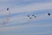 033IMG_6503