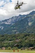 242IMG_6861