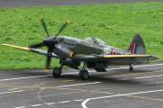 290IMG_6310