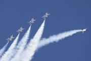 208IMG_3390