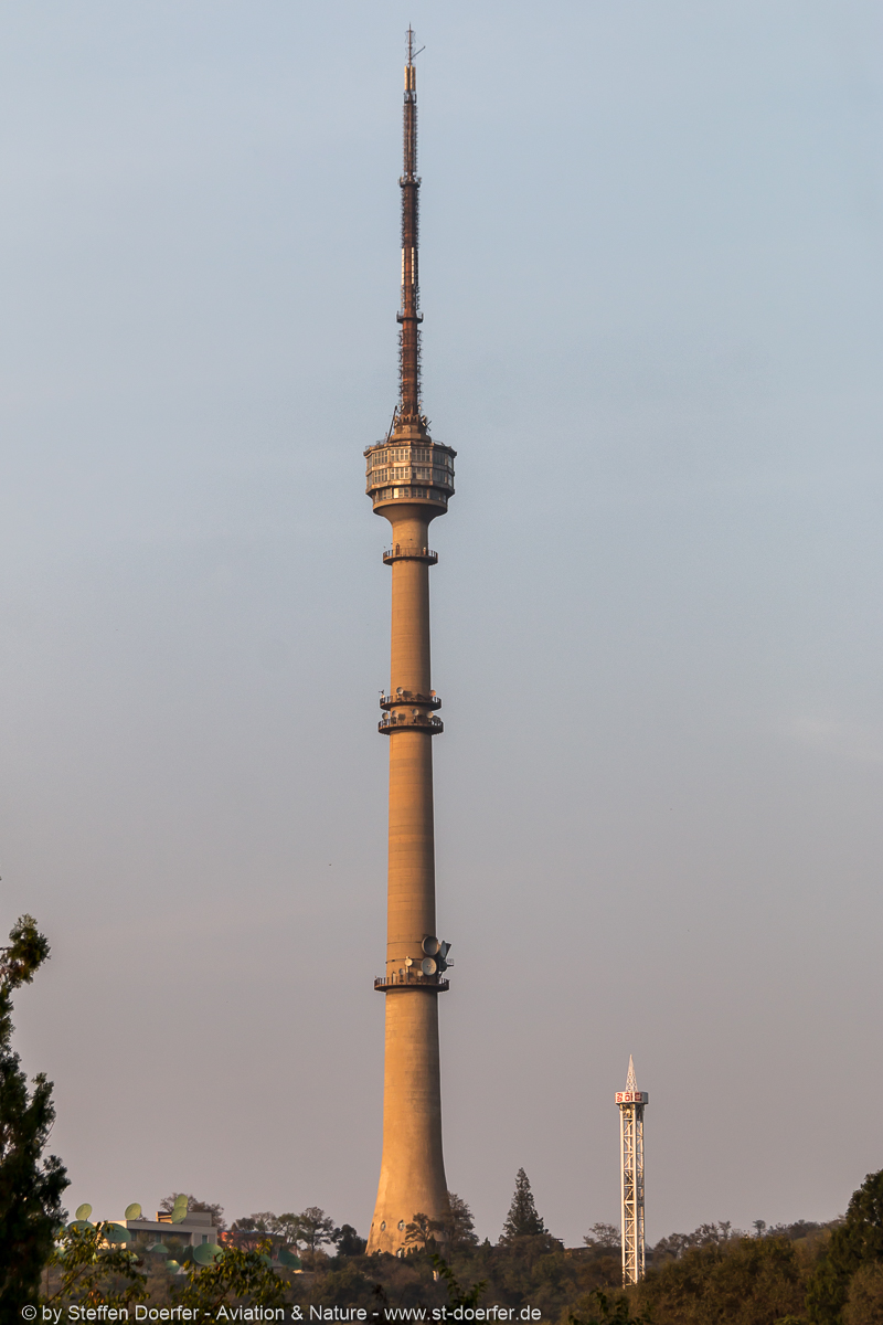 962IMG_6504