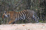 210IMG_6344