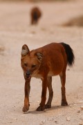 215IMG_6617