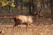 240IMG_6980