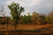 285IMG_2198