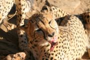 0IMG_8270