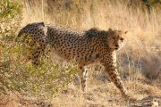 0IMG_8281
