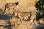 0IMG_8333