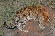 0IMG_8357