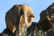 0IMG_8454