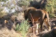 0IMG_8553