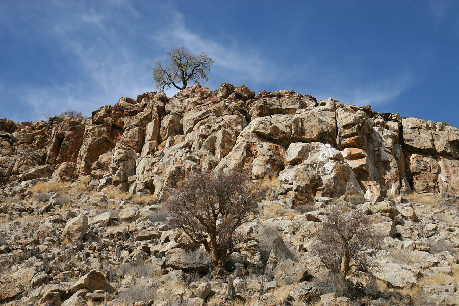 0IMG_8568