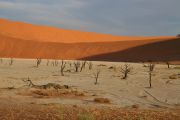 0IMG_8674