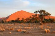 0IMG_8720