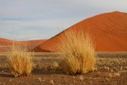 0IMG_8870