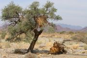 0IMG_9112