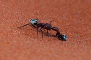 0IMG_9332