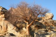 0IMG_9689