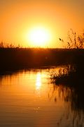 IMG_4257